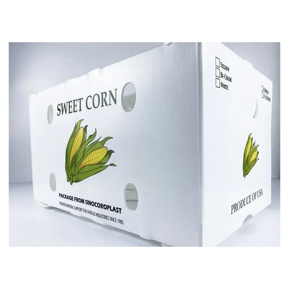 Lightweight High-Impact Corrugated PP Plastic Sweet Corn Packaging Box