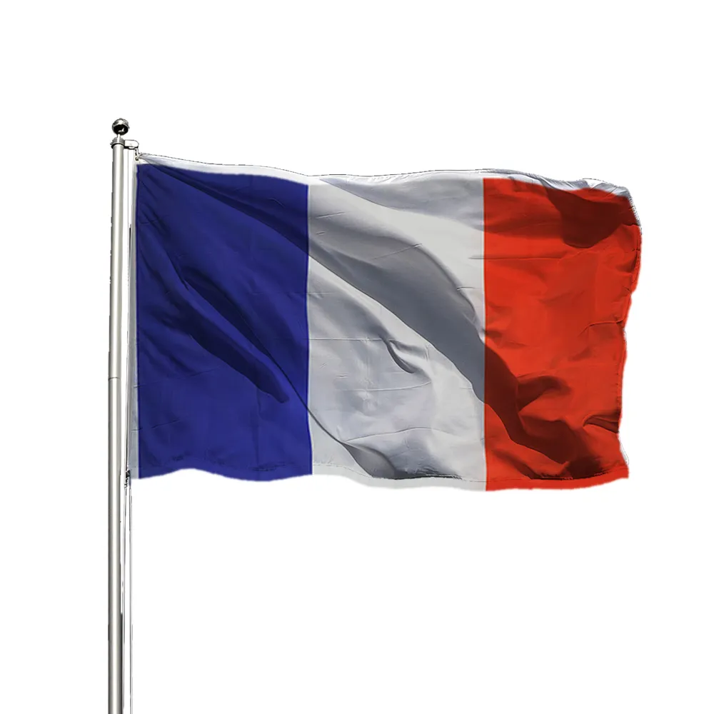 Banderas francesas de diferentes tamaños, diseño personalizado, color brillante, 100% poliéster, estampado, gran oferta, venta al por mayor