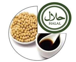 Argilla di Diatomite, Terra Diatomacea in Polvere, Ausilio per Filtrazione, Trasportatore a Coclea Flessibile Kiselbur Pu, Bianco, Sacco da 20kg - Product Image 4