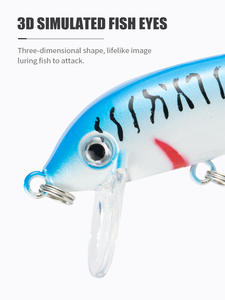 Leurre dur coulant tendance 2026, appât artificiel bionique pour la pêche au bar en eau douce et salée - Product Image 6