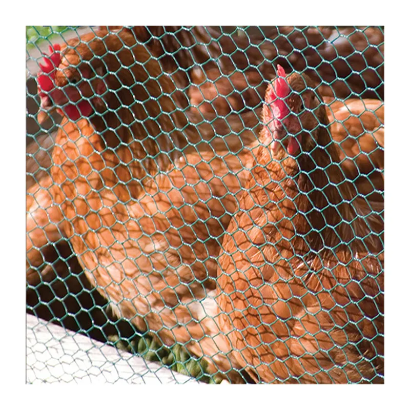Rete metallica esagonale del pollo della rete della maglia del giardino di alta qualità