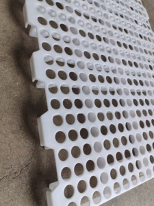 Panneau de sol perforé en PP blanc pour l'élevage de poulets - Product Image 3