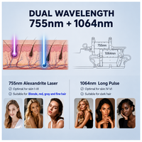 Machine d'épilation laser Alexandrite 755nm et Nd Yag, équipement d'épilation laser Nd Yag 1064 à impulsions longues OEM ODM pour salon