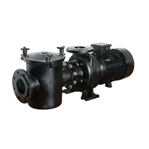 Nouvelle pompe à eau de piscine 1100W 1600W 2200W, théorie centrifuge, longueur de câble personnalisable, filtre en plastique cuivre PP - Product Image 6