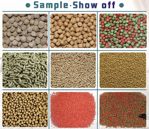 Nueva Línea de Procesamiento de Alimentos para Peces, Extrusora de Alimentos para Mascotas de Doble Tornillo, Equipo de Producción de Alimentos Acuáticos, Acero Inoxidable 304, 1 Tonelada/H, Alta Producción - Product Image 6