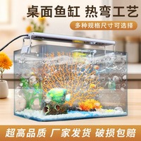 Aquarium écologique en verre HD thermoformé, petit et moyen, pour salon - Vente en gros
