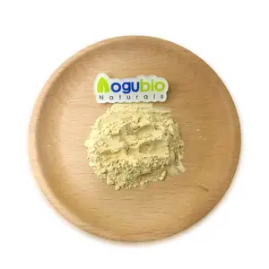 Natual Baicalin 98% Scutellaria Baicalensis Extract Organic Baicalin Extract Powder Baicalin Powder