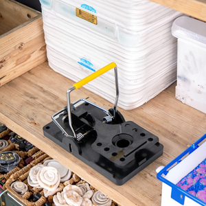Piège à souris en plastique ABS réutilisable et écologique, attrape-souris solide pour souris et rats, à ressort, contrôle des nuisibles, tueur de souris - Product Image 6