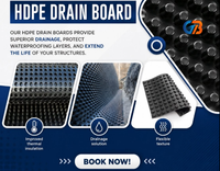 Planche de drainage rainurée haute résistance en HDPE moderne, utilisée pour l'étanchéité des sous-sols, la protection des digues et des murs de fondation scolaires