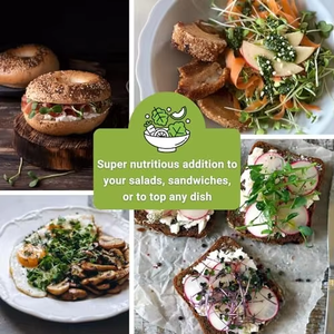 Kit Campione di Microgreens Sow Right, Superalimenti Salutari per Coltivazione Indoor, Broccoli, Crescione, Piselli e Altro - Product Image 5
