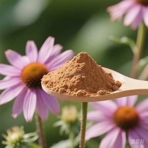 Yüksek Saflıkta Ekinacea Angustifolia Kök Ekstresi Bitkisel Polifenol Tozu Premium Ekinacea Purpurea Ekstresi - Product Image 3
