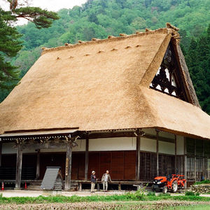 Großhandel Kunststoff wasserdichte Simulation feuerfeste künstliche Strohdach Hersteller - Product Image 4