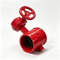 Vanne papillon à vis sans fin rainurée D381X en fonte ductile avec siège EPDM pour système de protection incendie