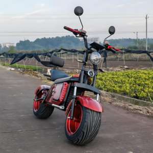 Scooter Eléctrico <span class=keywords><strong>de</strong></span> Golf <span class=keywords><strong>de</strong></span> 3 Ruedas y 2000W, Citycoco Motorizado con Soporte para Bolsa <span class=keywords><strong>de</strong></span> Golf Gratis - Product Image 3