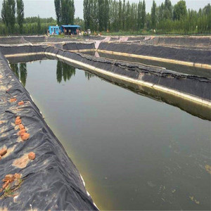 แผ่นใยสังเคราะห์ HDPE ความหนาแน่นสูง สำหรับบ่อเพาะเลี้ยงสัตว์น้ำ แผ่นปูบ่อ PEHD สำหรับก่อสร้างเขื่อน หนา 0.75 มม. - Product Image 5