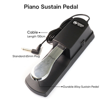 Factory Price Good Quality Professional Grade Portable Electric Keyboard Black Piano Sustain Pedal