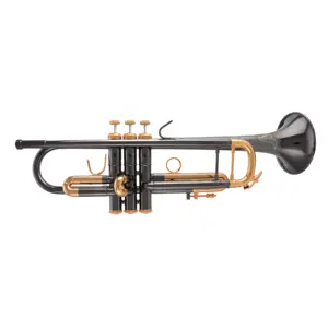 Seasound Professionele Master Level Bb Tone Trompeta Jytr409dbngl Zwart Nikkel Goud Trompetinstrument Met Koperen Lichaam