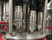 Solutions clés en main automatiques pour ligne de production d'eau en bouteille, contrôle PLC, compatibilité avec les bouteilles en verre, surveillance à distance