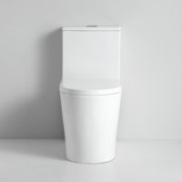 Sanitaires de salle de bain modernes, toilettes monobloc à chasse siphonique avec sangle de 300 mm, en céramique blanche