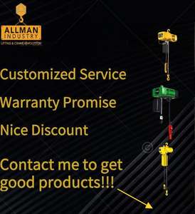 Polipasto Eléctrico de Cadena ALLMAN para Construcción Tecle Eléctrico de 1t <span class=keywords><strong>3t</strong></span> 5t - Product Image 6