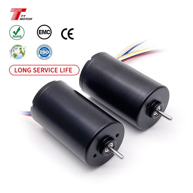 OEM ODM High Torque 12V 24V 28mm Long Life 5000H High Speed 5000rpm PWM Control DC Brushless Motor
