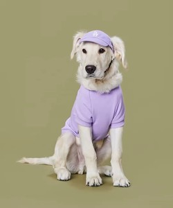 قبعة بيسبول للكلاب قبعات حيوانات أليفة رياضية للأنشطة الخارجية قبعة الكلاب قبعة قماشية مع فتحة للأذن قبعات حيوانات أليفة عصرية قابلة للتعديل مع شعار العلامة التجارية - Product Image 3