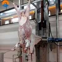 Chaîne d'abattage de bovins ZBHT haute capacité 200 têtes, équipement de traitement de vaches entièrement automatisé avec roulement de moteur de précision