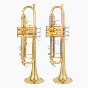 <span class=keywords><strong>Trompette</strong></span> à prix réduit en laiton jaune avec embouchure en cuivre et tube coulissant en nickel argenté, modèle étudiant - Product Image 2