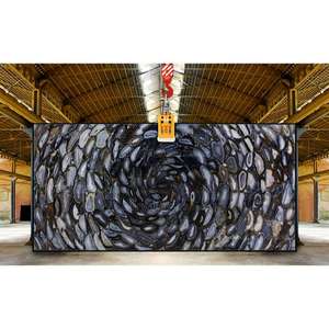 Premium Black Agate Tornado Slab Material de piedra natural Cuarcita - Product Image 2