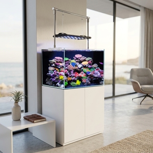 Kit complet d'aquarium de récif corallien sans cadre pour eau salée, aquarium marin pour la maison ou le bureau - Product Image 3