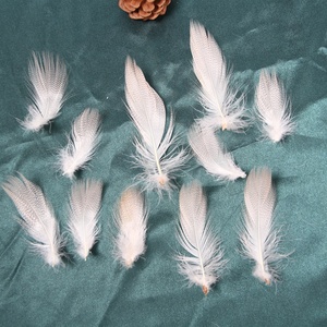 Bán Buôn Lỏng Tự Nhiên Mallard Sườn Vịt Bộ Lông Teal Vịt Cdc Lông Cho Fly Buộc Câu Cá Mồi - Product Image 2