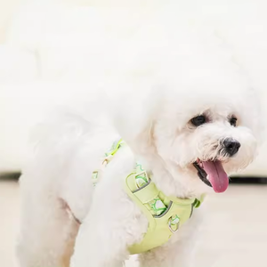 Essential No Pull Comfort Acolchado Oxford Arnés para perros Hebilla de seguridad y ajuste de anillo en <span class=keywords><strong>D</strong></span> para caminar o aventuras diarias - Product Image 5