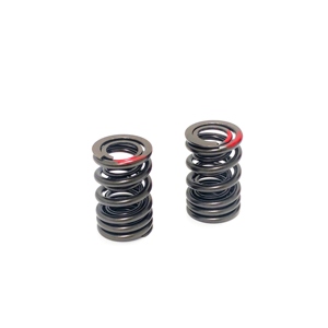 Custom High-performance <strong>Valve</strong> <strong>Spring</strong> Car Motorcycle Accessories Racing Engine Precision Dual <strong>Spring</strong> - Product Image 3