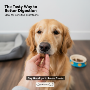 Probiotici per Cani Salute della Pelle e dell'Intestino Diarrea Occasionale Salute Digestiva Allergie Stagionali Olio di Salmone Integratori per Animali Domestici in Formato Morbido - Product Image 6