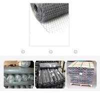 Grillage hexagonal en acier à faible teneur en carbone, anti-rouille, pour l'élevage de poulets, fourni directement par l'usine