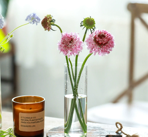 Factory Wholesale Wedding Centerpiece High Quality Decorative Different <strong>Size</strong> Glass Cylinder <strong>Vase</strong> for Home Decoration - Product Image 2