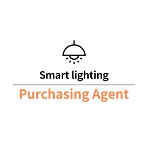 Purchasing Agent China Other <b>Smart</b> Led Curtain Strip Home Street Christmas Sensor Traffic <b>Lighting</b> Switch Wifi System - Product Image 1