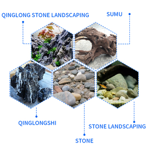 Zyx151 Guo voi hồ cá keo nước cỏ keo chìm gỗ đá rêu san hô keo thủy sản cảnh quan Bộ Xương 50g - Product Image 6