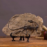 Adorno de Hueso de Tiranosaurio Rex de Simulación Creativa ODM/OEM, Fósil de Dinosaurio 3D para Decoración del Hogar, Salas de Estar, Resina de Vino