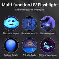 Boruit lampu senter UV 13W 365nm, lampu LED Ultraviolet isi ulang USB Mini untuk kucing Ore tinea kulit kalajengking pemeriksa uang