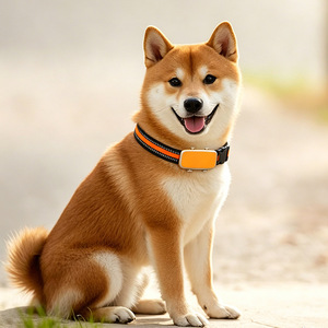 Rastreador GPS Inteligente para Mascotas, Collar Impermeable IP67 con Rastreo en Tiempo Real para Perros y Gatos - Product Image 3