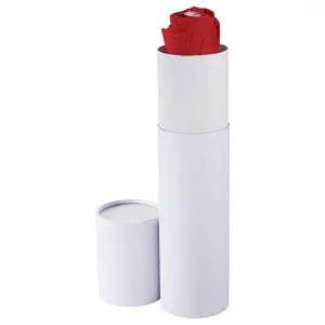 Высококачественный изготовленный на заказ Белый Картонный цилиндрический Круглый бумажный продукт упаковочная коробка для зонтика