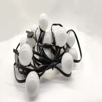 50mm DMX LED Piksel Nokta Işığı Müzik Aktifleştirilmiş
