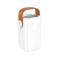 Banco de Energía Portátil de Alta Calidad para Laptop, PD 100W, Carga Rápida Dual, 60000mah, Gran Capacidad, con Puerto USB, LED, para Uso en Exteriores