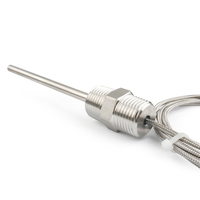Clase a B 1/2npt 1/4npt 3/4npt BSP 3 cables PT100 RTD Sensores de temperatura de doble rosca con sensores de temperatura de doble rosca