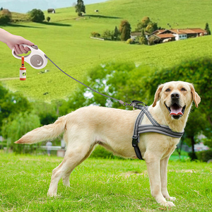 Contenedor <span class=keywords><strong>de</strong></span> Bolsas <span class=keywords><strong>para</strong></span> Excremento <span class=keywords><strong>de</strong></span> <span class=keywords><strong>Perro</strong></span>, <span class=keywords><strong>de</strong></span> Plástico ABS Ecológico, Lavable, Simple, <span class=keywords><strong>para</strong></span> Uso en Exteriores, Envío Rápido, Accesorio <span class=keywords><strong>para</strong></span> la Eliminación <span class=keywords><strong>de</strong></span> Desechos <span class=keywords><strong>de</strong></span> Mascotas - Product Image 5