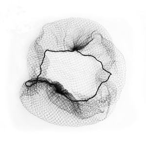 ตาข่ายคลุม<span class=keywords><strong>ผม</strong></span>ไนลอนแบบมองไม่เห็น ยี่ห้อ Ruyan ขนาด 20 นิ้ว ขอบยางยืด ตาข่ายถักแบบมีรู 5 มม. สำหรับจัดแต่งทรง<span class=keywords><strong>ผม</strong></span> เต้นรำ และเล่นกีฬา - Product Image 2