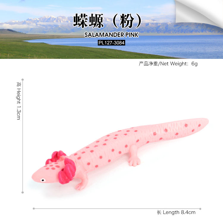 3084 Salamandra rosa