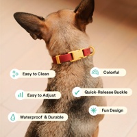 Collier pour chien en silicone PVC bio, imperméable et durable, personnalisable, vente en gros, ensemble laisse, collier tactique de luxe pour animaux de compagnie avec boucle, anti-odeur