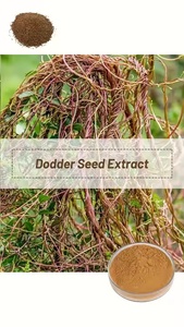 最畅销的道奇提取物高纯度Cuscuta提取物10:1 Cuscuta提取物粉末，价格最优惠 - Product Image 4